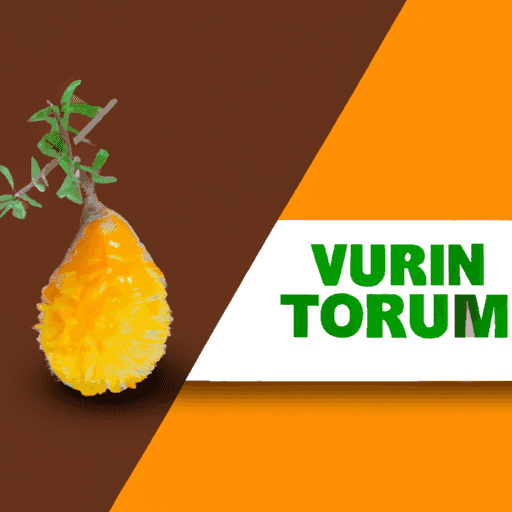 Solusi Praktis untuk Mengurangi Dampak Polusi Udara pada Kesehatan Anda